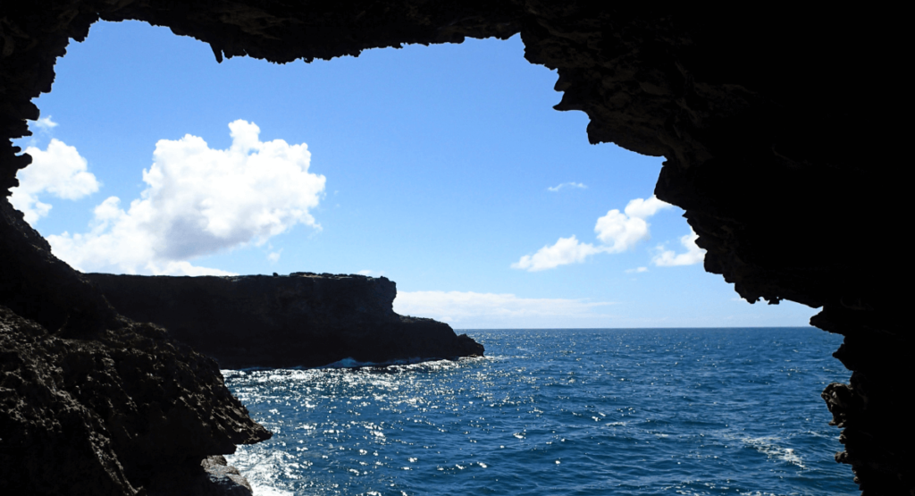 Animal Flower Cave Barbados