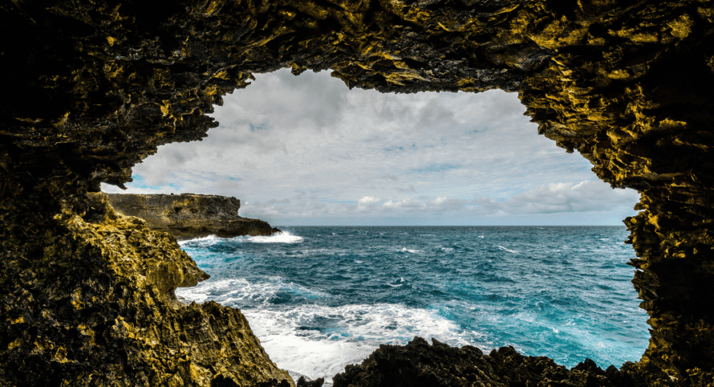 Animal Flower Cave Barbados