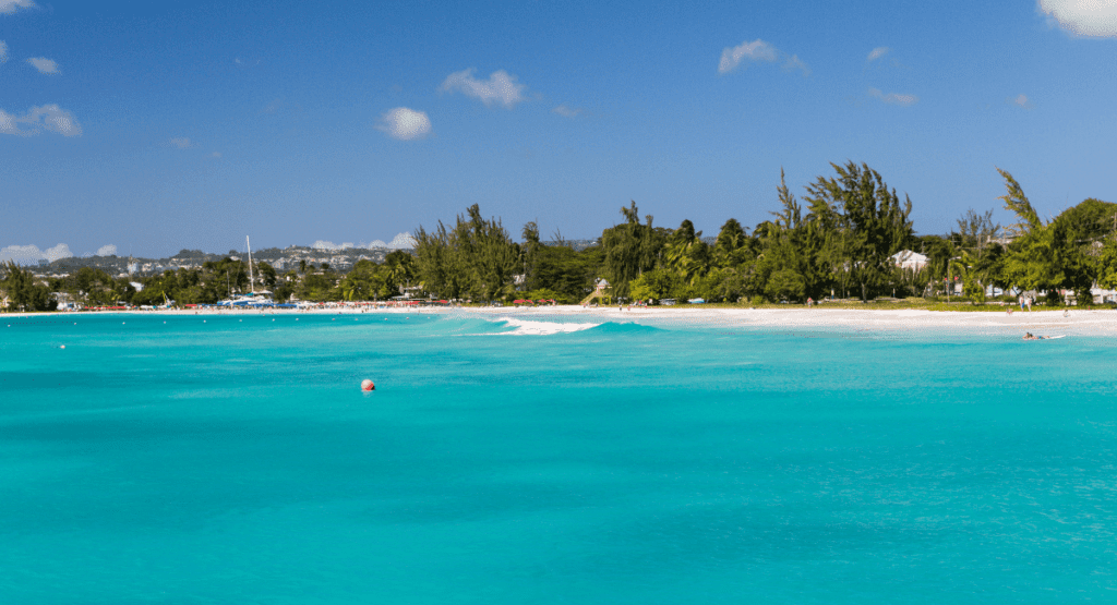 Carlisle Bay Catamaran cruise stop