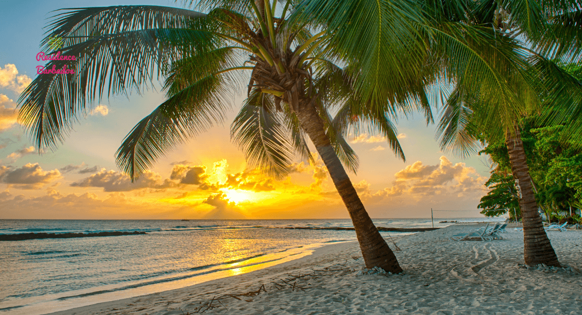 Move from the UK to Barbados beach at sunset