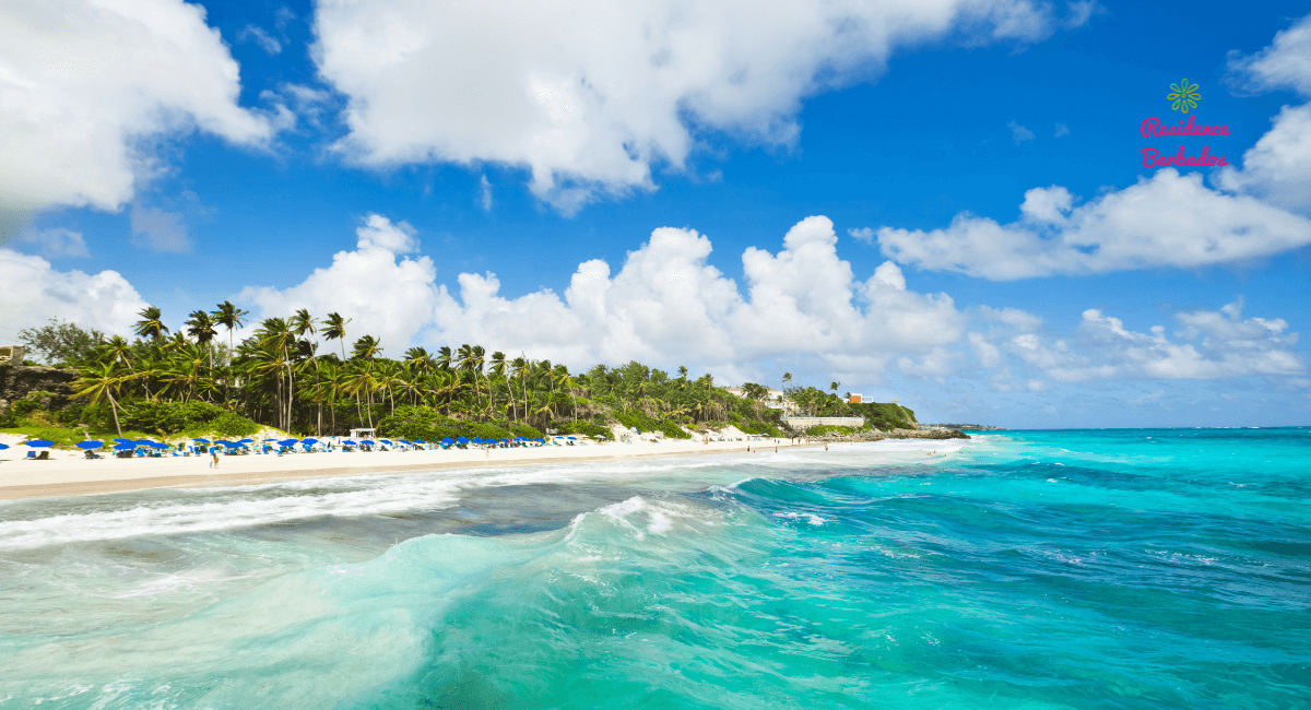 Move from the UK to Barbados and live in places like Crane Beach