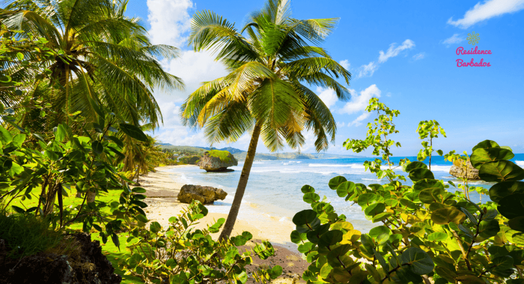 Barbados beach Bathsheba