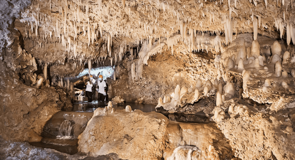 Harrisons Cave New Things To Do in Barbados