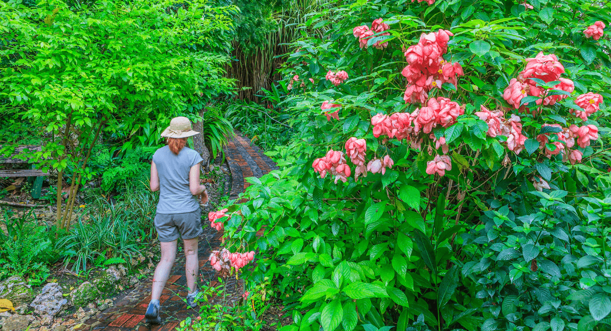 Andromeda Gardens Nature Spot