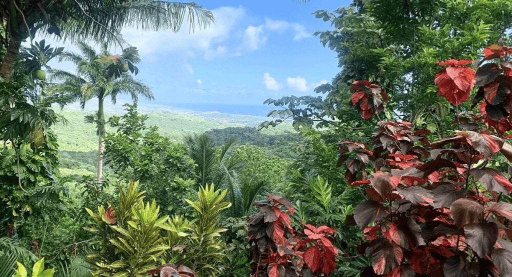 Flower Forest Nature Spot