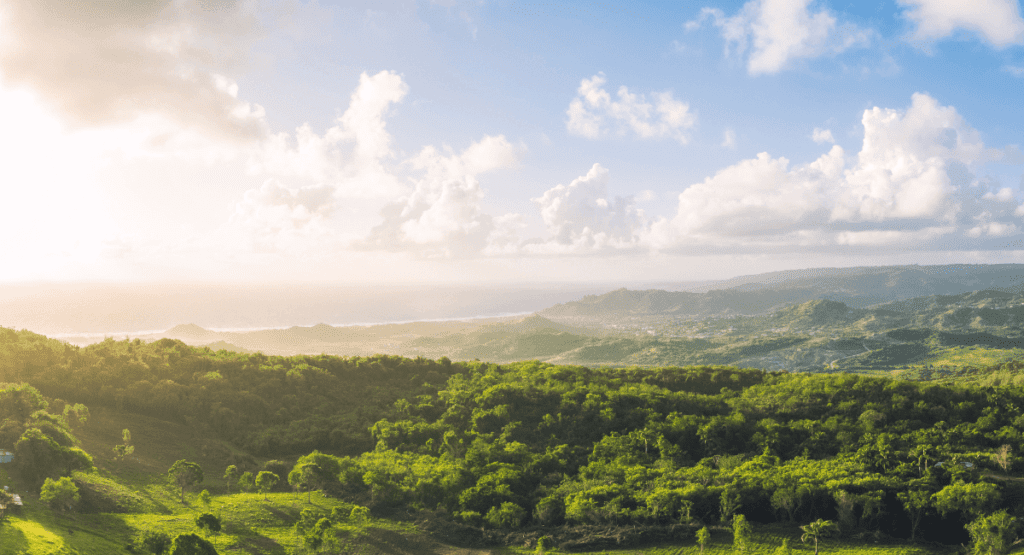 View from Farley Hill