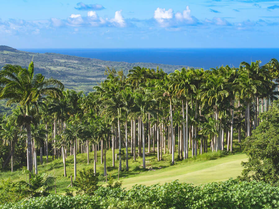 Moonstruck villas Apes Hill Barbados