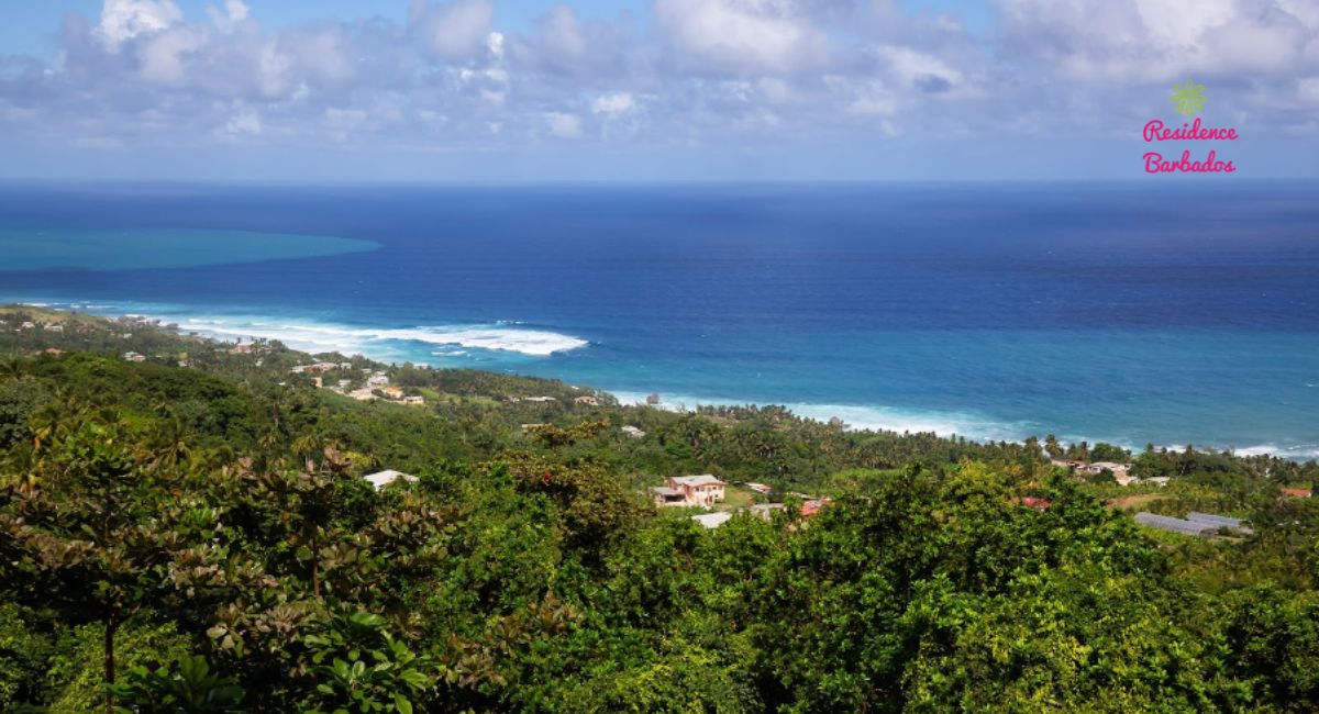 buying land in Barbados