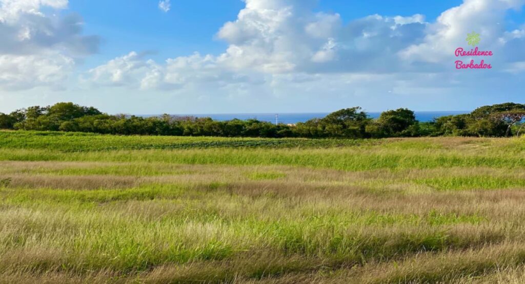 Buying land in Barbados