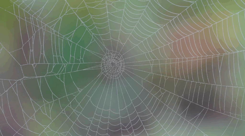Spirder web illustrating crawl bots for ai answer engines