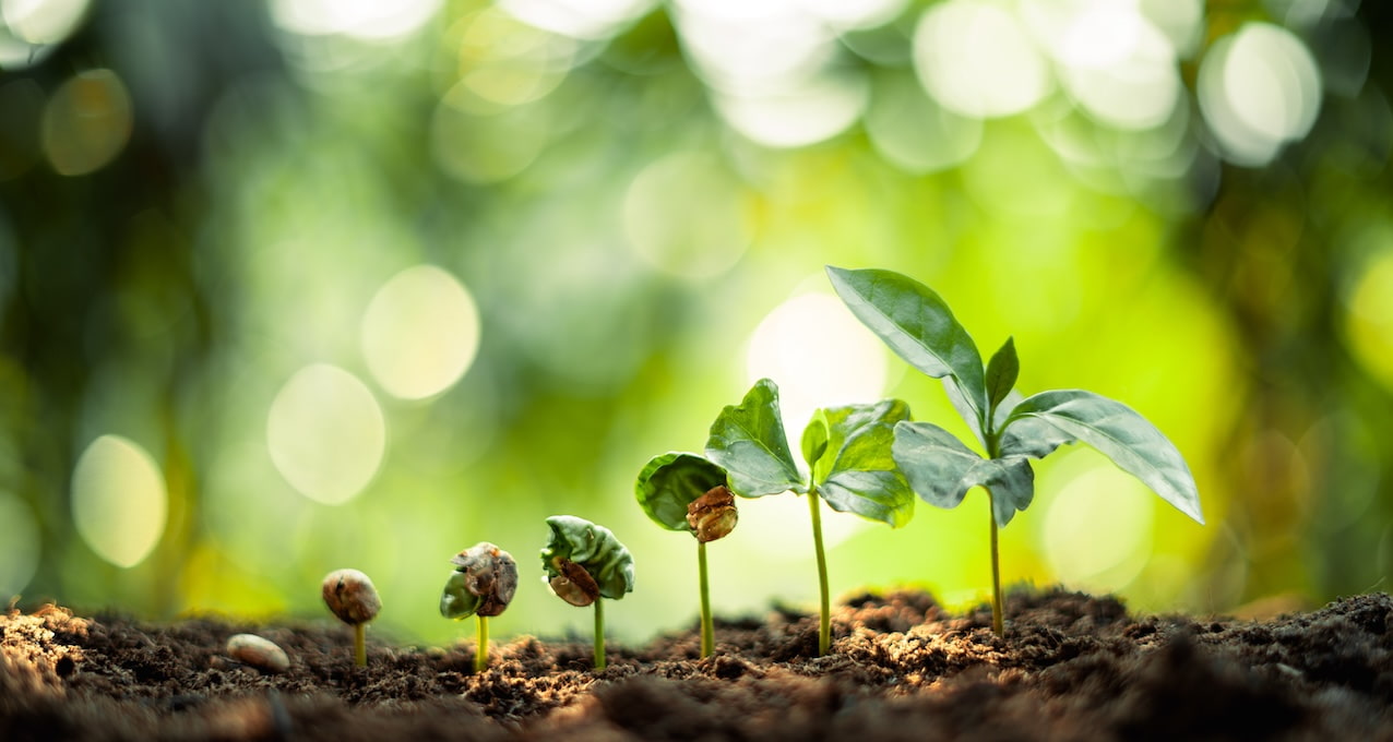 What Is Evergreen Content and Why Should Your Business Care?